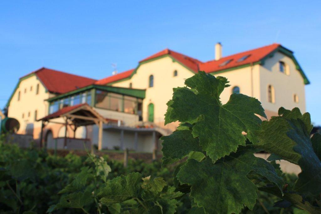 Hotel Vinohrad Milotice Exterior foto